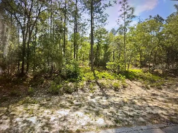 4060 W Alamo Drive, BEVERLY HILLS, FL 34465