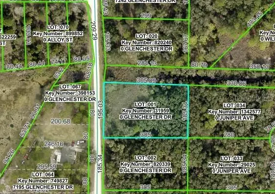 7222 Glenchester Drive, Webster, FL 33597 - Image #2