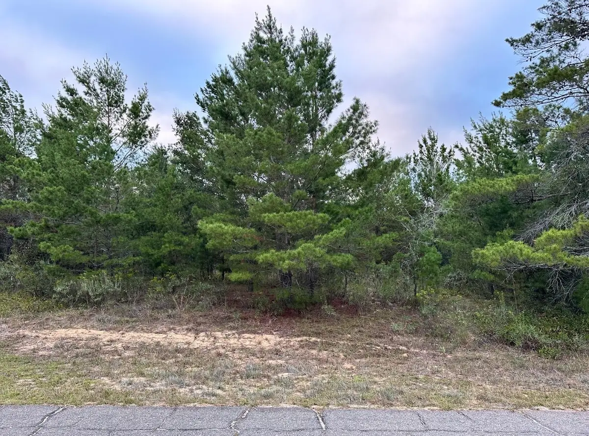 Colmart Drive, Chipley, FL 32428 - Image #1