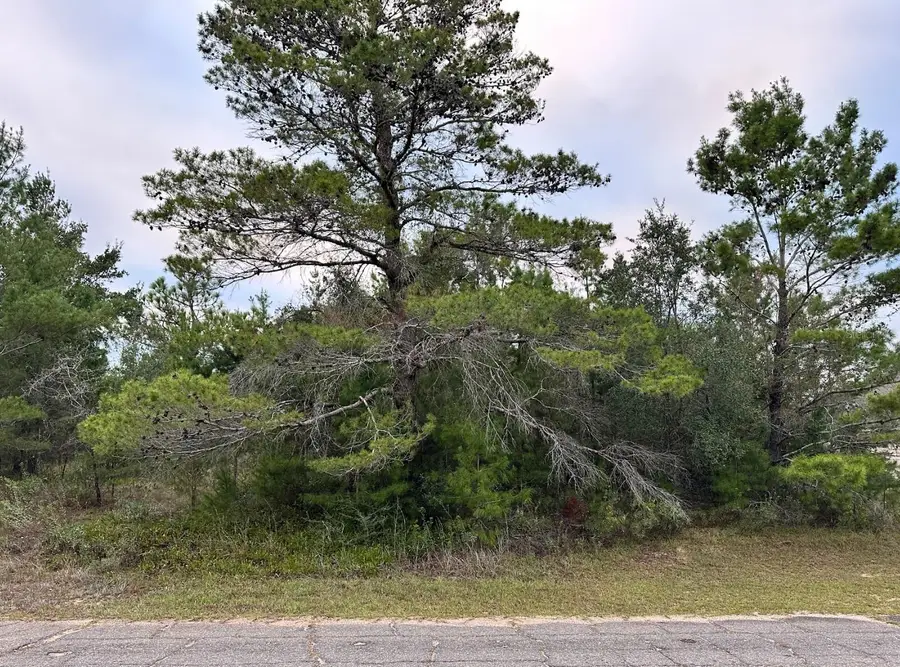 Colmart Drive, Chipley, FL 32428 - Image #3