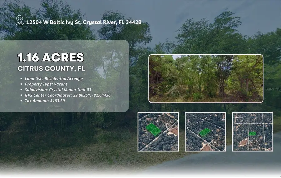 12504 W Baltic Ivy Street, Crystal River, FL 34428 - Image #2