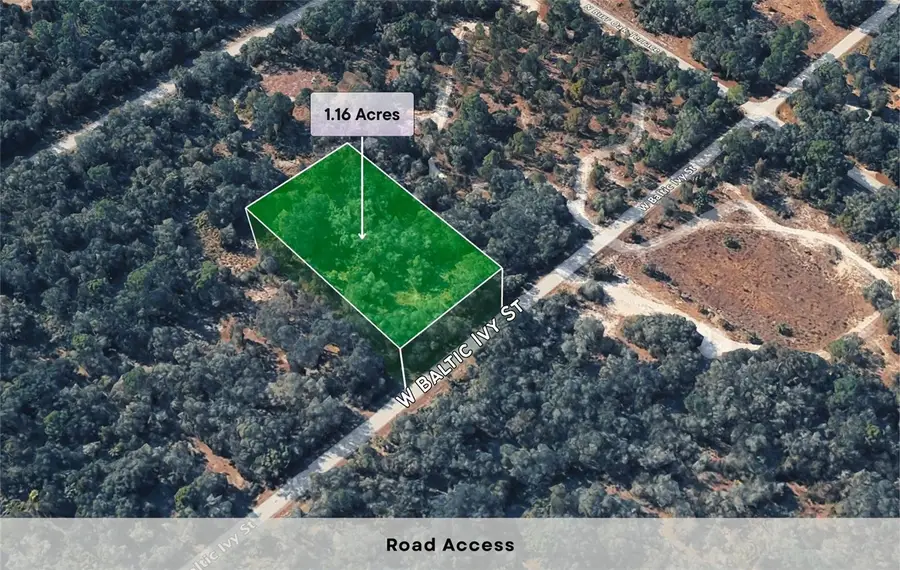 12504 W Baltic Ivy Street, Crystal River, FL 34428 - Image #3