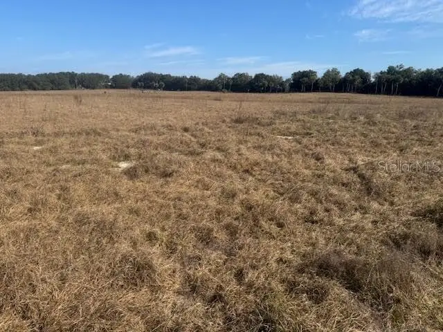 TBD NE 141st Street, Citra, FL 32113 - Image #2