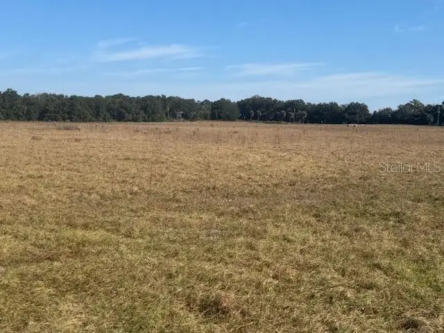 TBD NE 141st Street, Citra, FL 32113 - Image #3