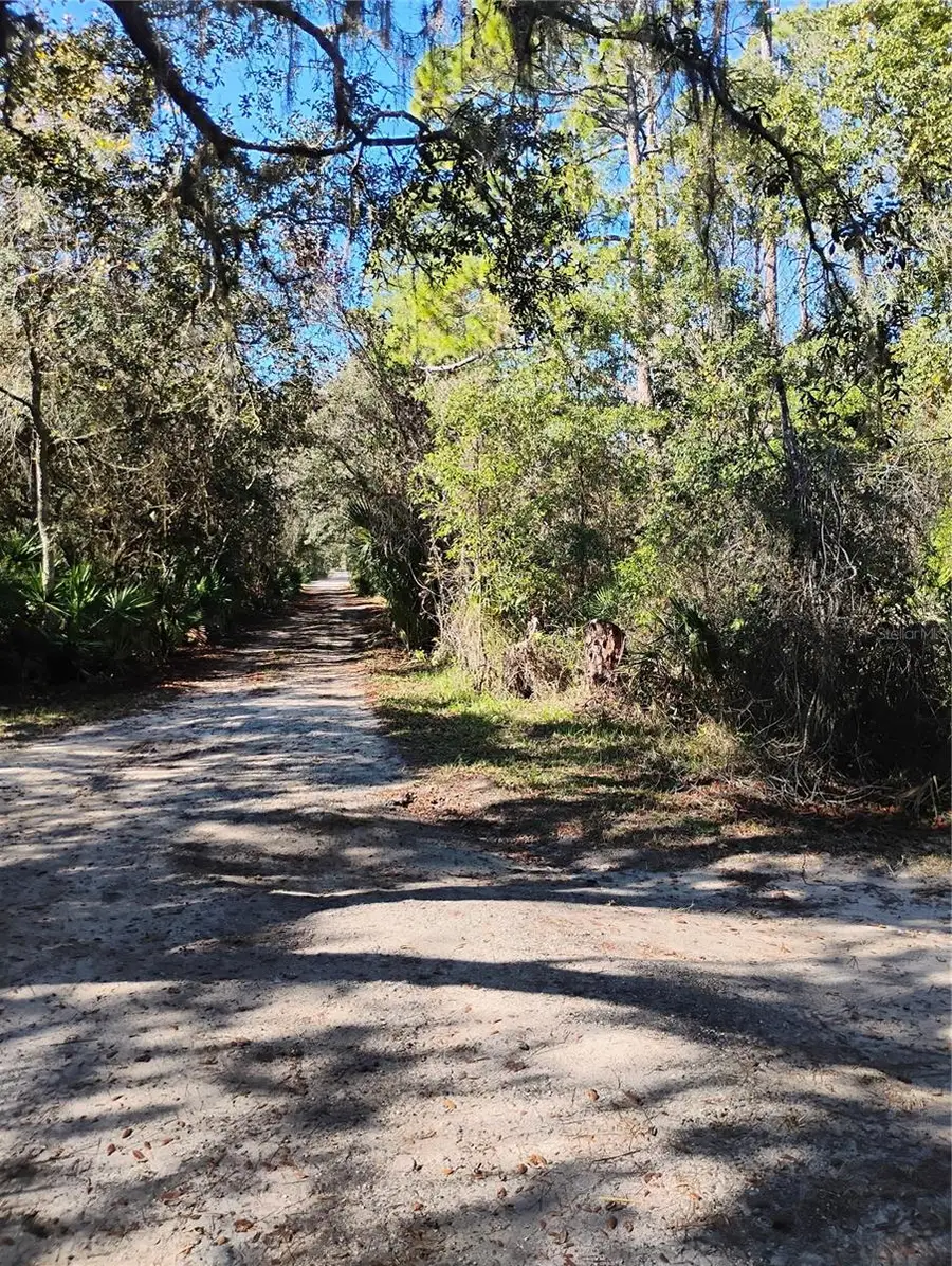 Marie Avenue, Deland, FL 32720 - Image #3