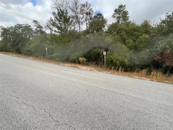 TBD SW 111th Place, OCALA, FL 34476