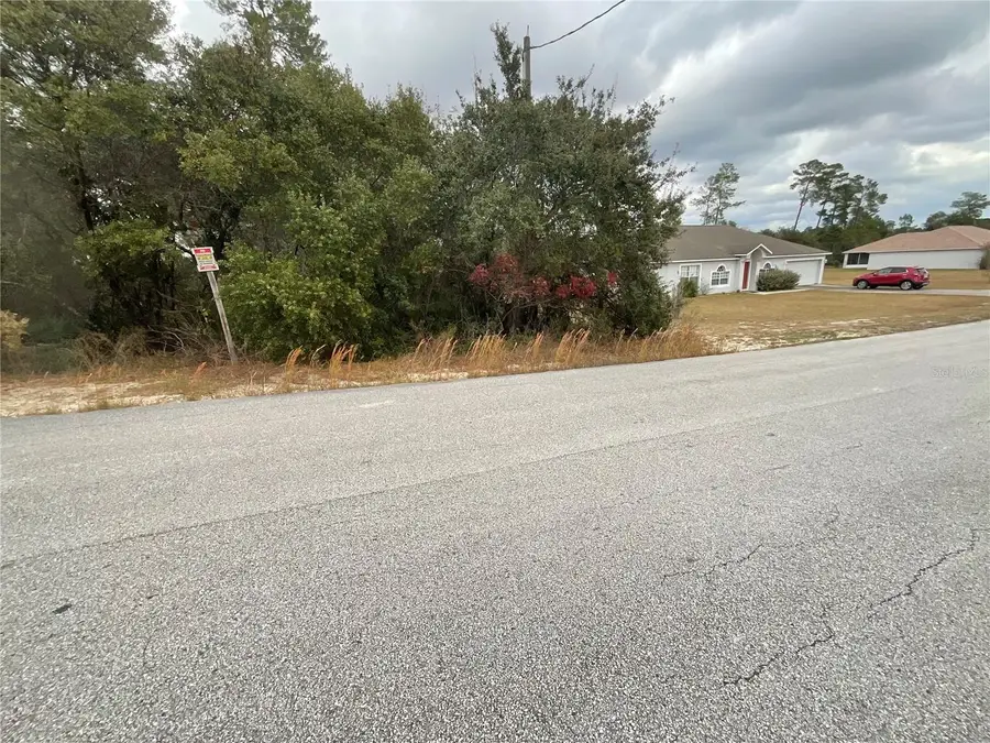 TBD SW 111th Place, Ocala, FL 34476 - Image #2