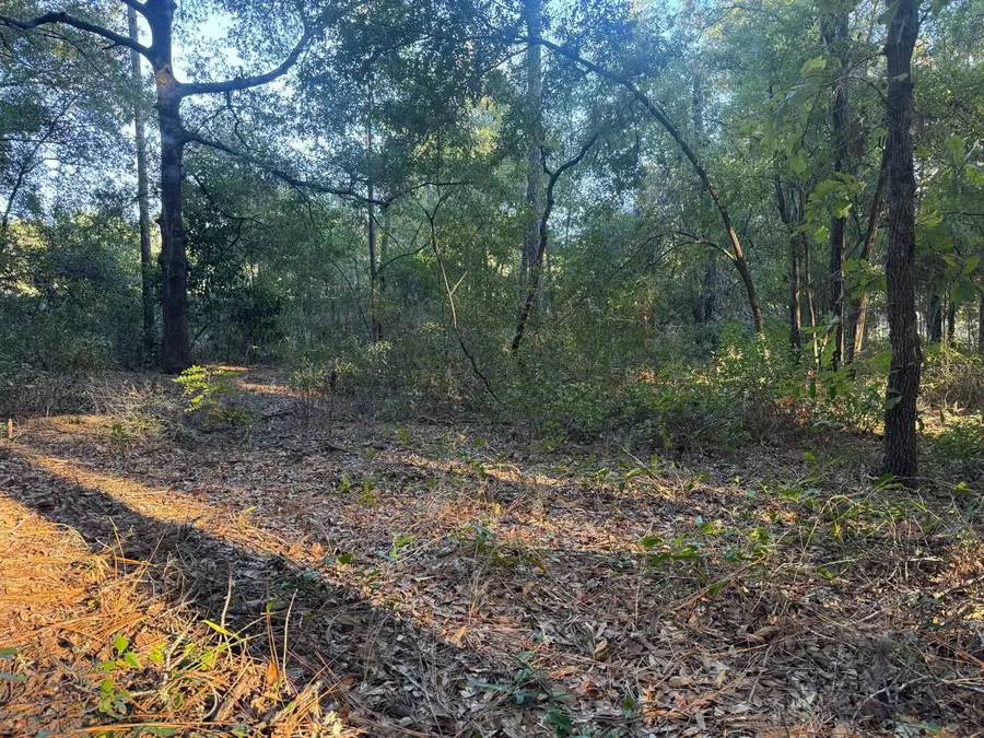 SW 66 Street, Ocala, FL 34481 - Image #3