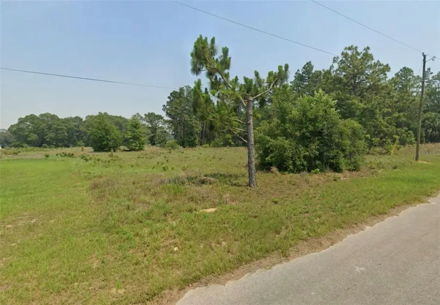 LOT 5 SE Malauka Run, Ocklawaha, FL 32179 - Image #3