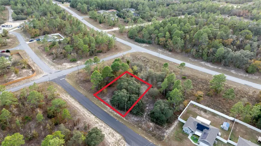 2567 W Wilmington Loop, Citrus Springs, FL 34434 - Image #3