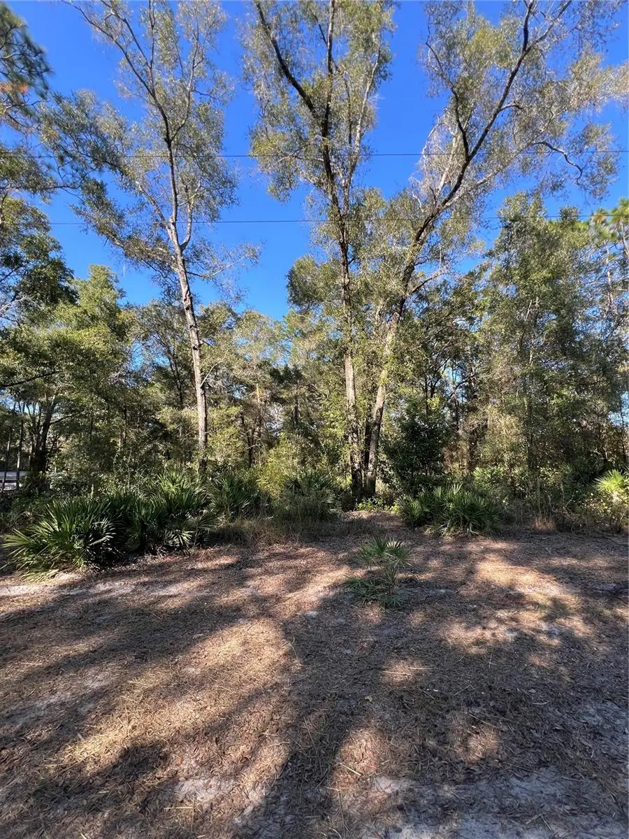 TBD SE 179th Place, Summerfield, FL 34491 - Image #1