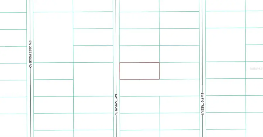 0 TBD SW Tamiami Place, Dunnellon, FL 34431 - Image #3