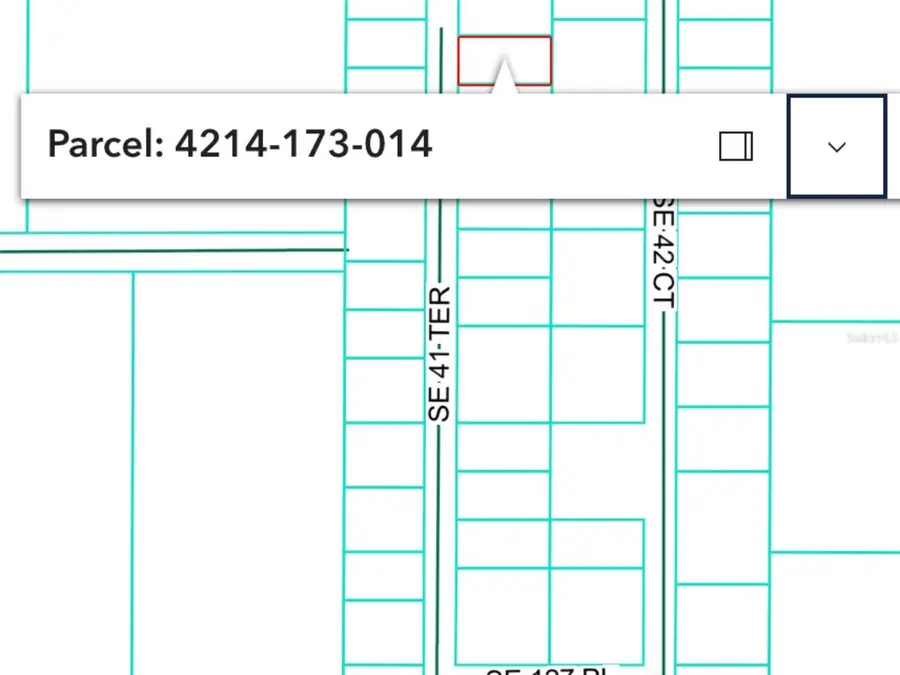 12565 SE 41st Terrace, Belleview, FL 34420 - Image #2