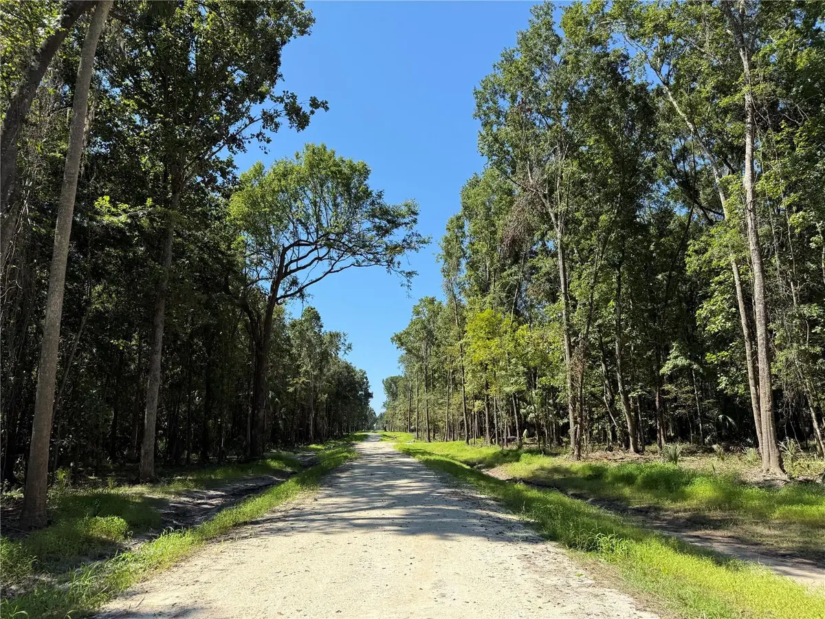 DR #7 (10ac) NW 193rd St, Micanopy, FL 32667 - Image #1