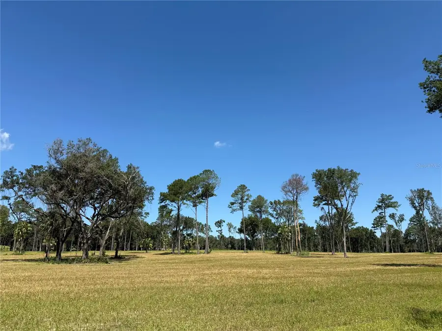 DR #7 (10ac) NW 193rd St, Micanopy, FL 32667 - Image #2