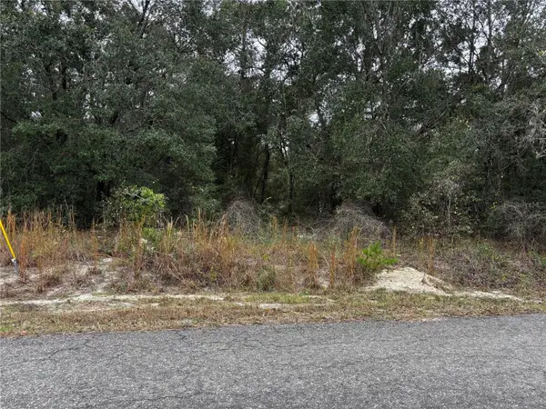 SE 115th Place Road, OCKLAWAHA, FL 32179