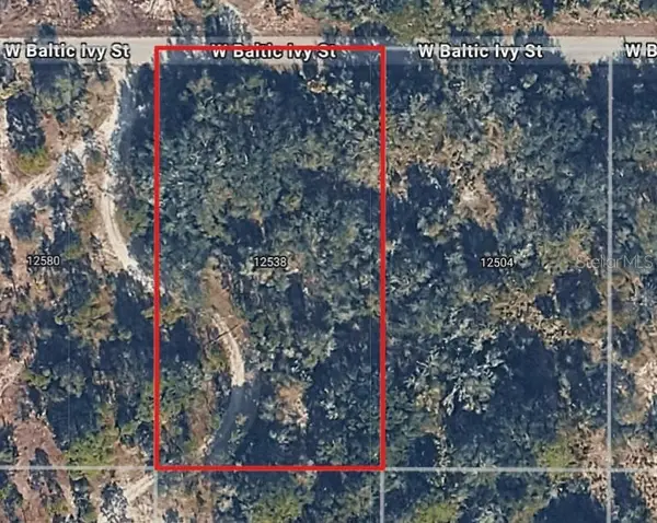 12538 W Baltic Ivy Street, CRYSTAL RIVER, FL 34428