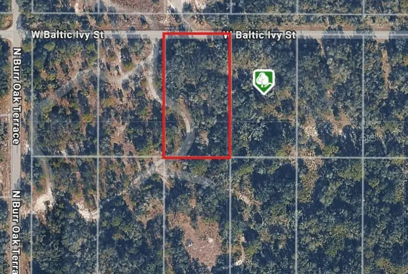 12538 W Baltic Ivy Street, Crystal River, FL 34428 - Image #2