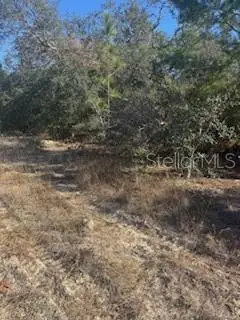 6491 N Killinger Terrace, Citrus Springs, FL 34433 - Image #2