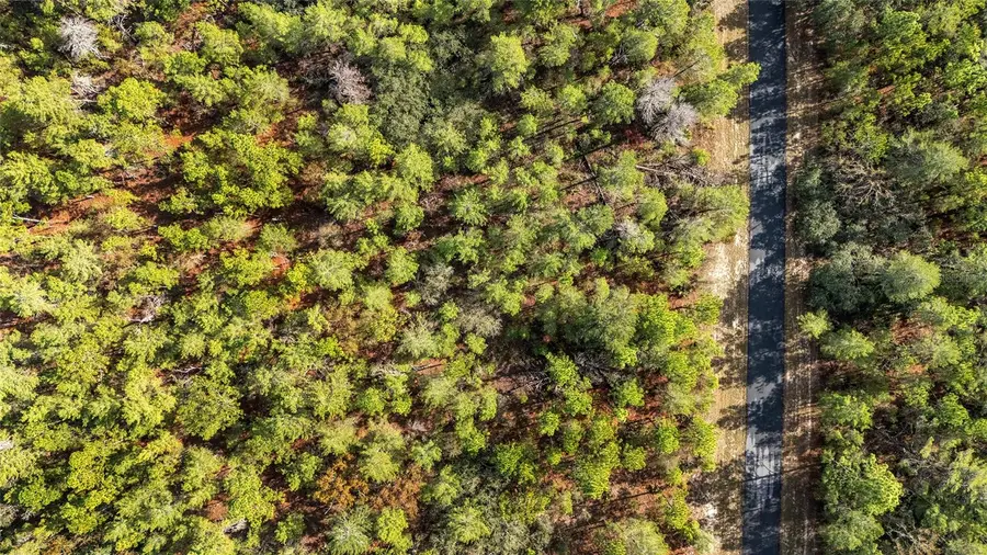 Sw 177th Street, Ocala, FL 34473 - Image #2