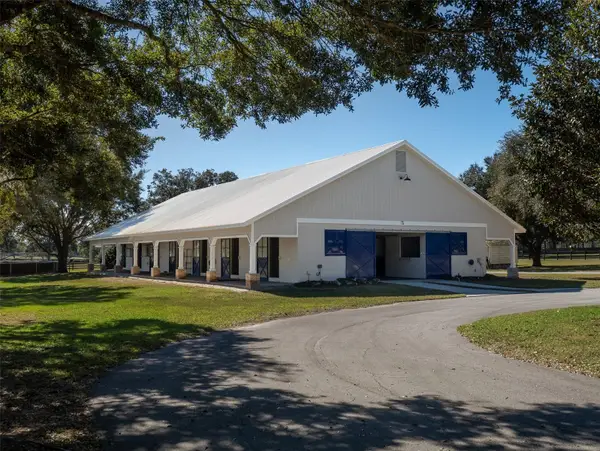 9710 NW 160th Avenue, MORRISTON, FL 32668