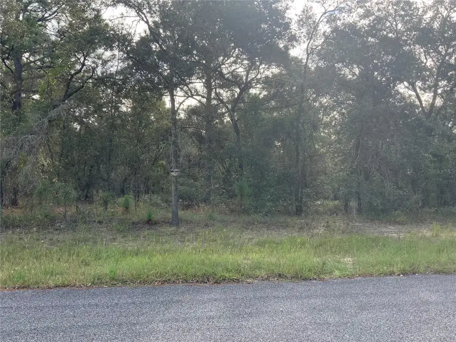 SE 39th. Lot 33 Street, Morriston, FL 32668 - Image #3
