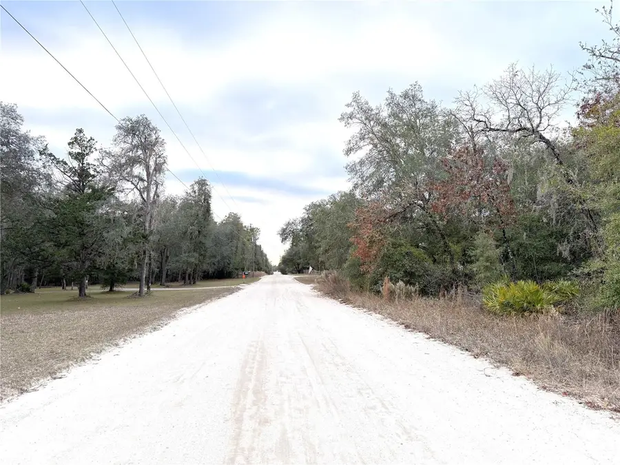 0 NE 85th Street, Bronson, FL 32621 - Image #3