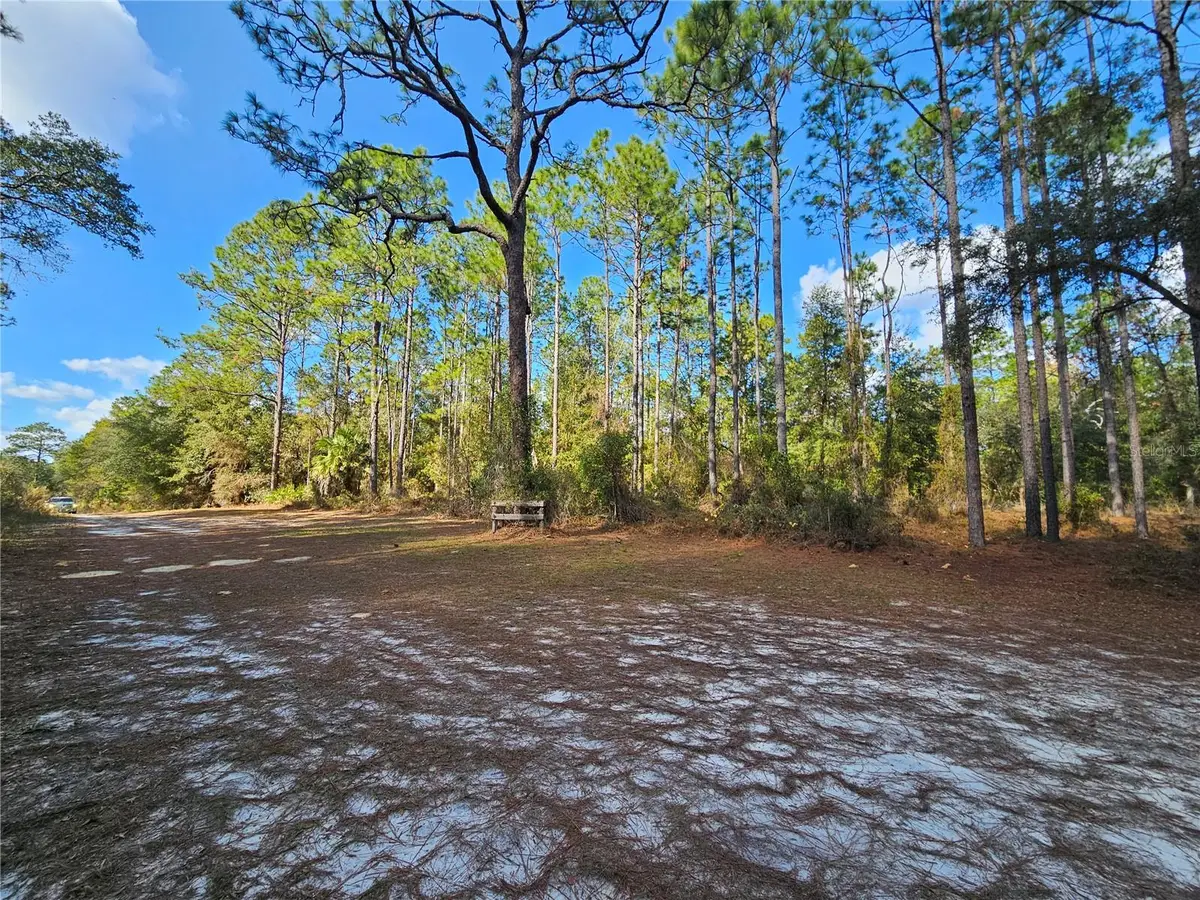 10932 SE 32nd Lane, Morriston, FL 32668 - Image #1