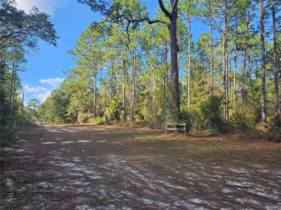 10932 SE 32nd Lane, Morriston, FL 32668 - Image #3