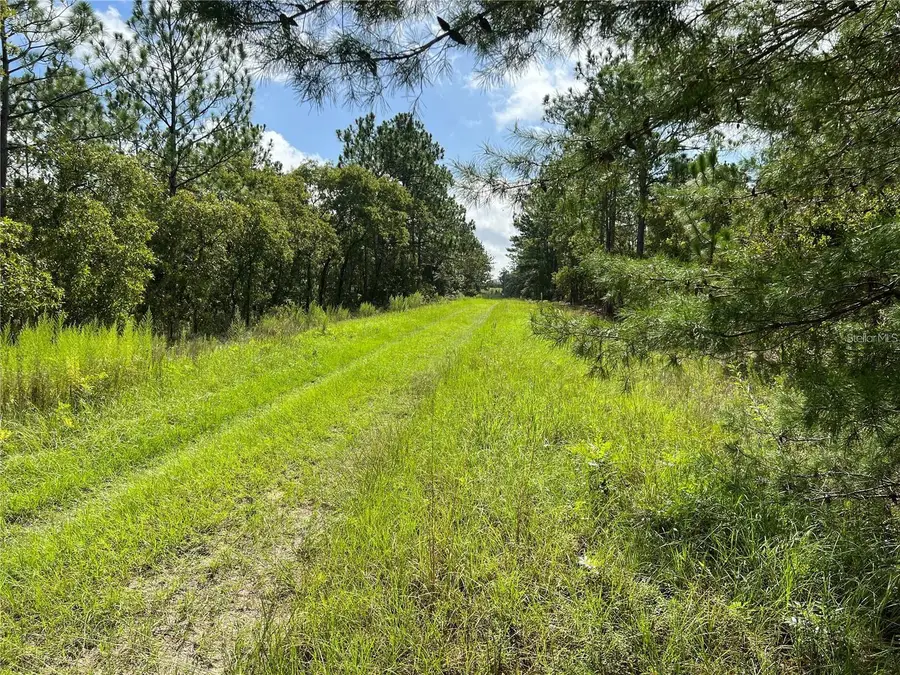 TBD SW 93rd Street, Dunnellon, FL 34432 - Image #2