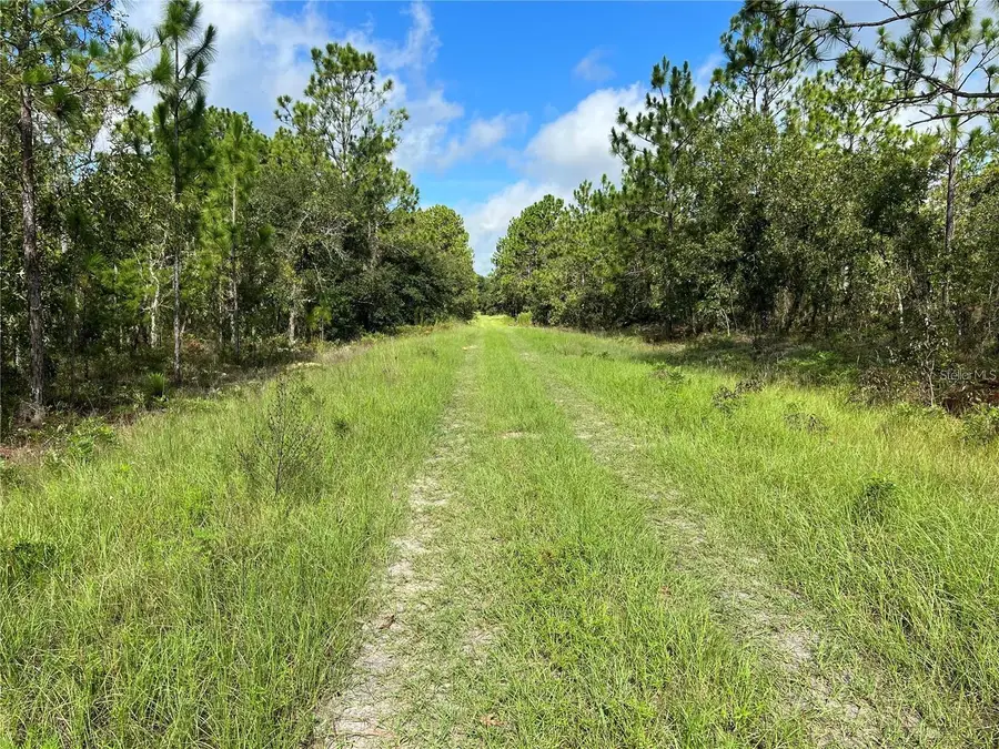 TBD SW 93rd Street, Dunnellon, FL 34432 - Image #3