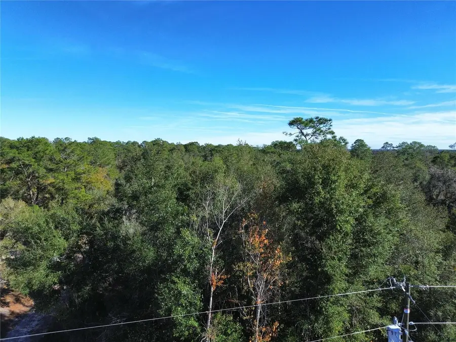 0 SE 178th Avenue, Silver Springs, FL 34488 - Image #3