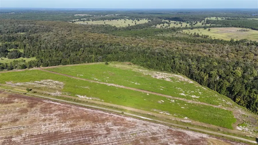 216ac NE 85th Ave Rd, Citra, FL 32113 - Image #3