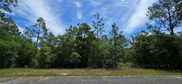 Lot 18 Unit 1 Blk 6 Fusion Circle, CHIPLEY, FL 32428