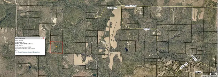 19 2N 12W-20 Unknown, Fountain, FL 32438 - Image #2