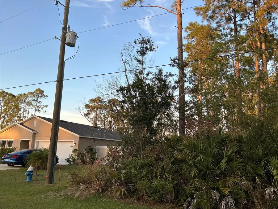 171 Ryberry Drive, Palm Coast, FL 32164 - Image #2