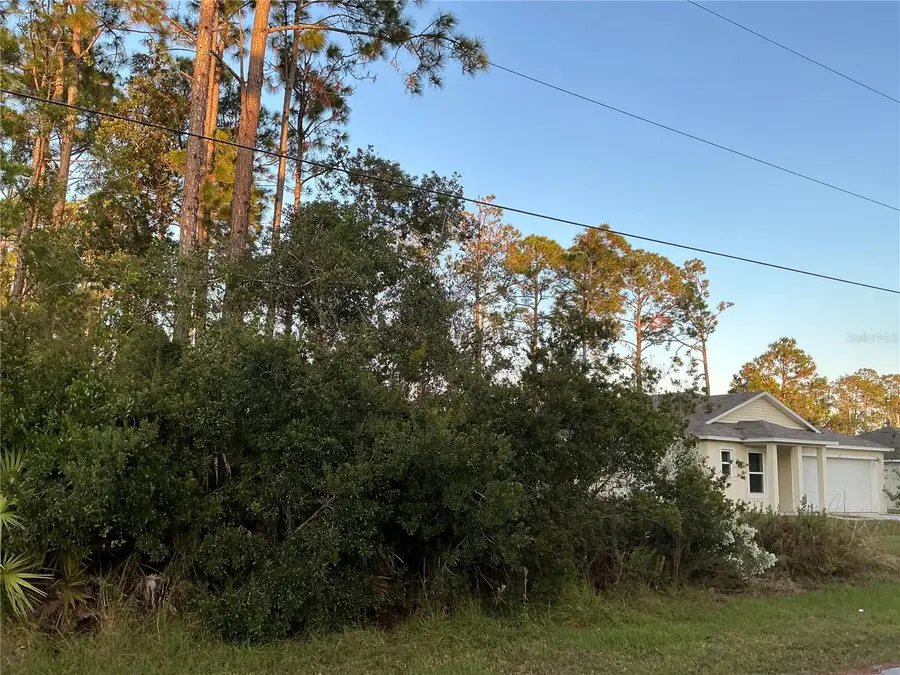 171 Ryberry Drive, Palm Coast, FL 32164 - Image #3