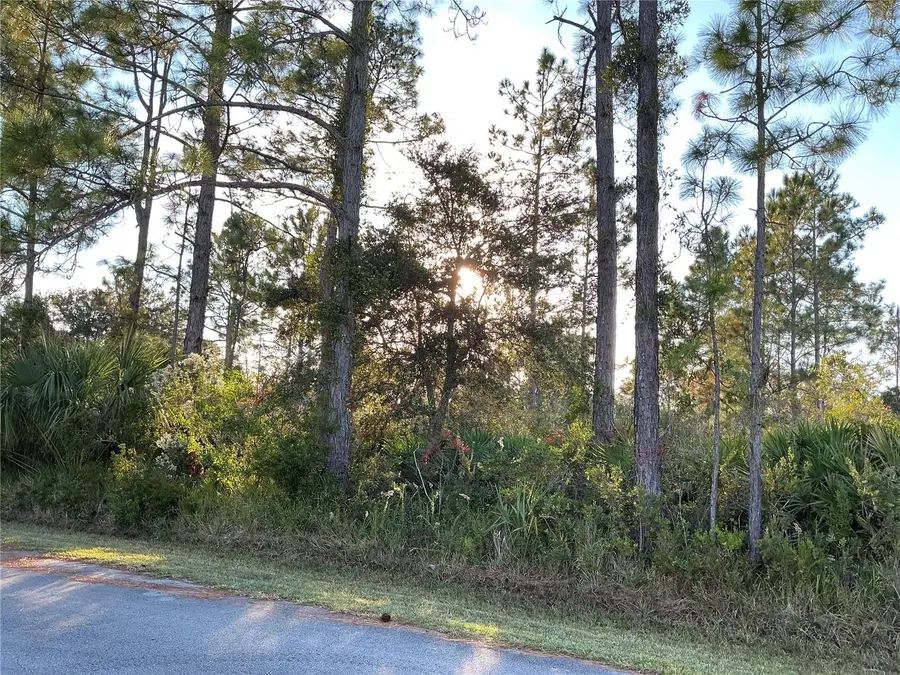 32 Sea Front Trail, Palm Coast, FL 32164 - Image #2