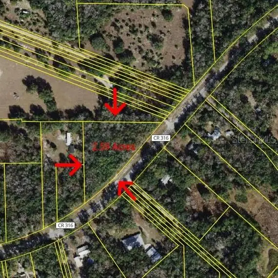TBD E Highway 316, Citra, FL 32113 - Image #2