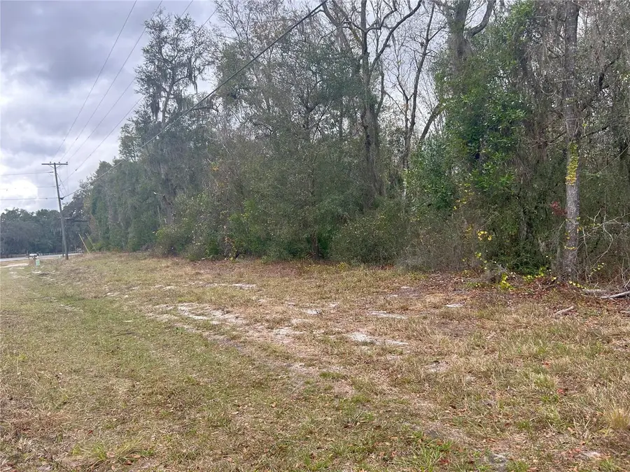 TBD E Highway 316, Citra, FL 32113 - Image #3