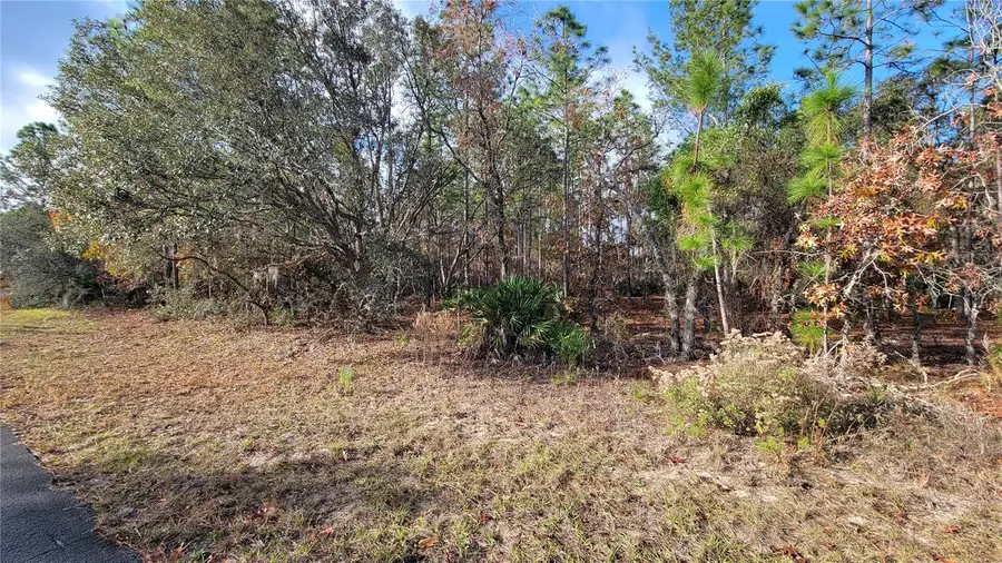 4312 N Deckwood Drive, Beverly Hills, FL 34465 - Image #2