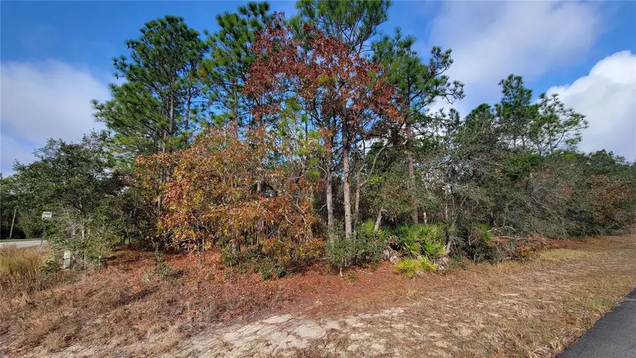 4312 N Deckwood Drive, Beverly Hills, FL 34465 - Image #3