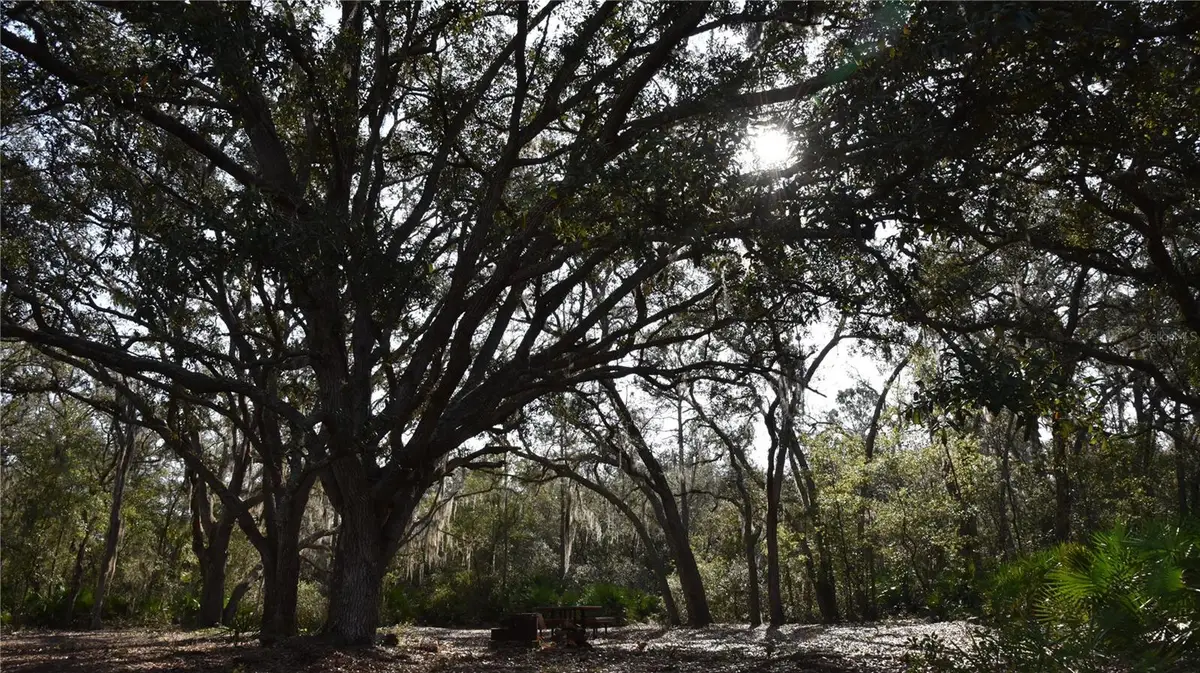 81 Clouds Ave, Interlachen, FL 32148 - Image #1