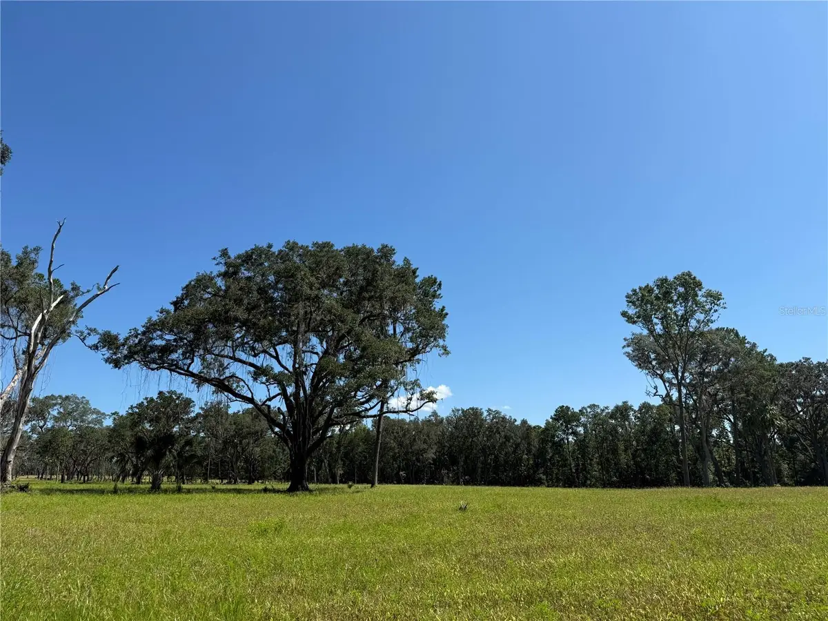 DO #6 (24ac) NW 193rd St, Micanopy, FL 32667 - Image #1