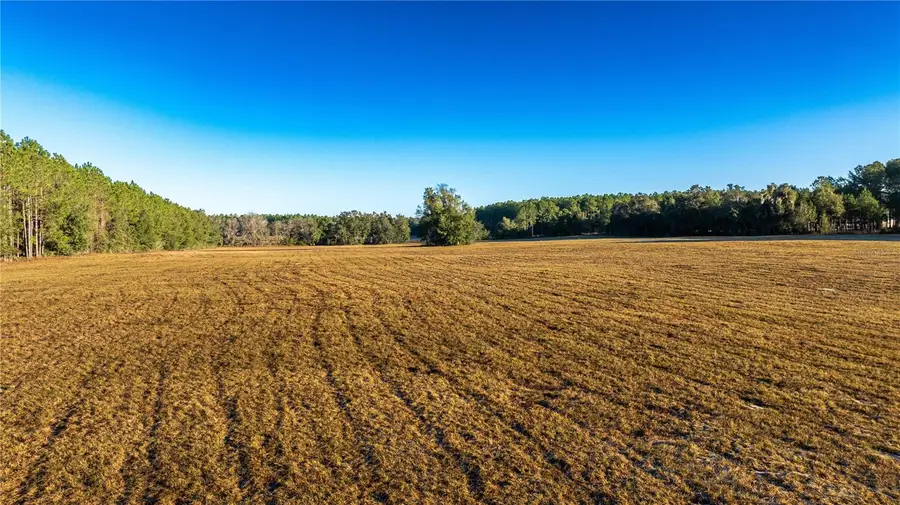 00 NW 180th St, Williston, FL 32696 - Image #3