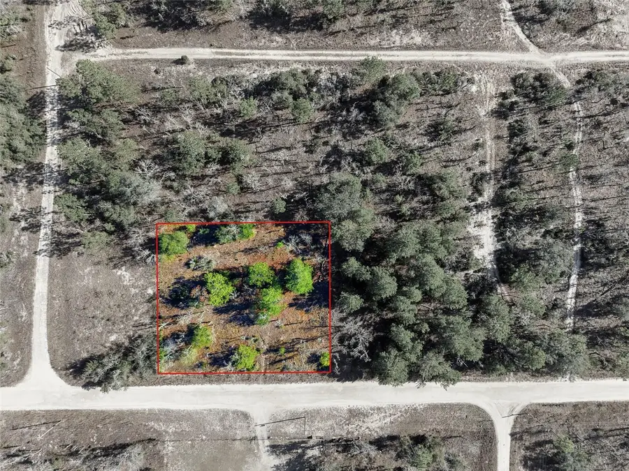 00 NE 150th Ave, Williston, FL 32696 - Image #3