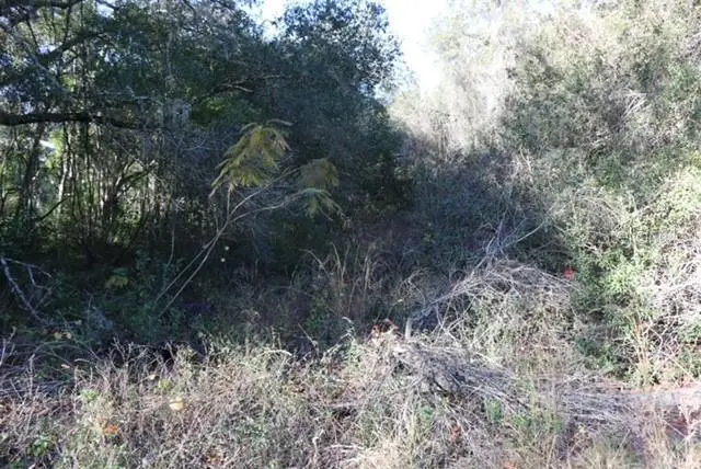 11936 SE 141st Terrace, Ocklawaha, FL 32179 - Image #2