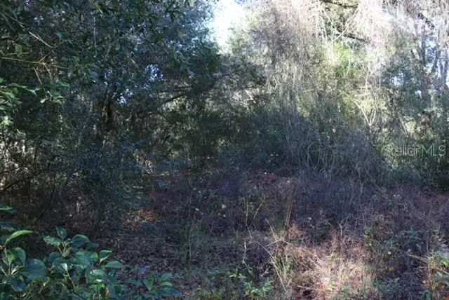 11936 SE 141st Terrace, Ocklawaha, FL 32179 - Image #3