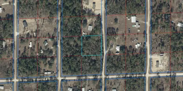 TBD NE 123rd Terrace, WILLISTON, FL 32696