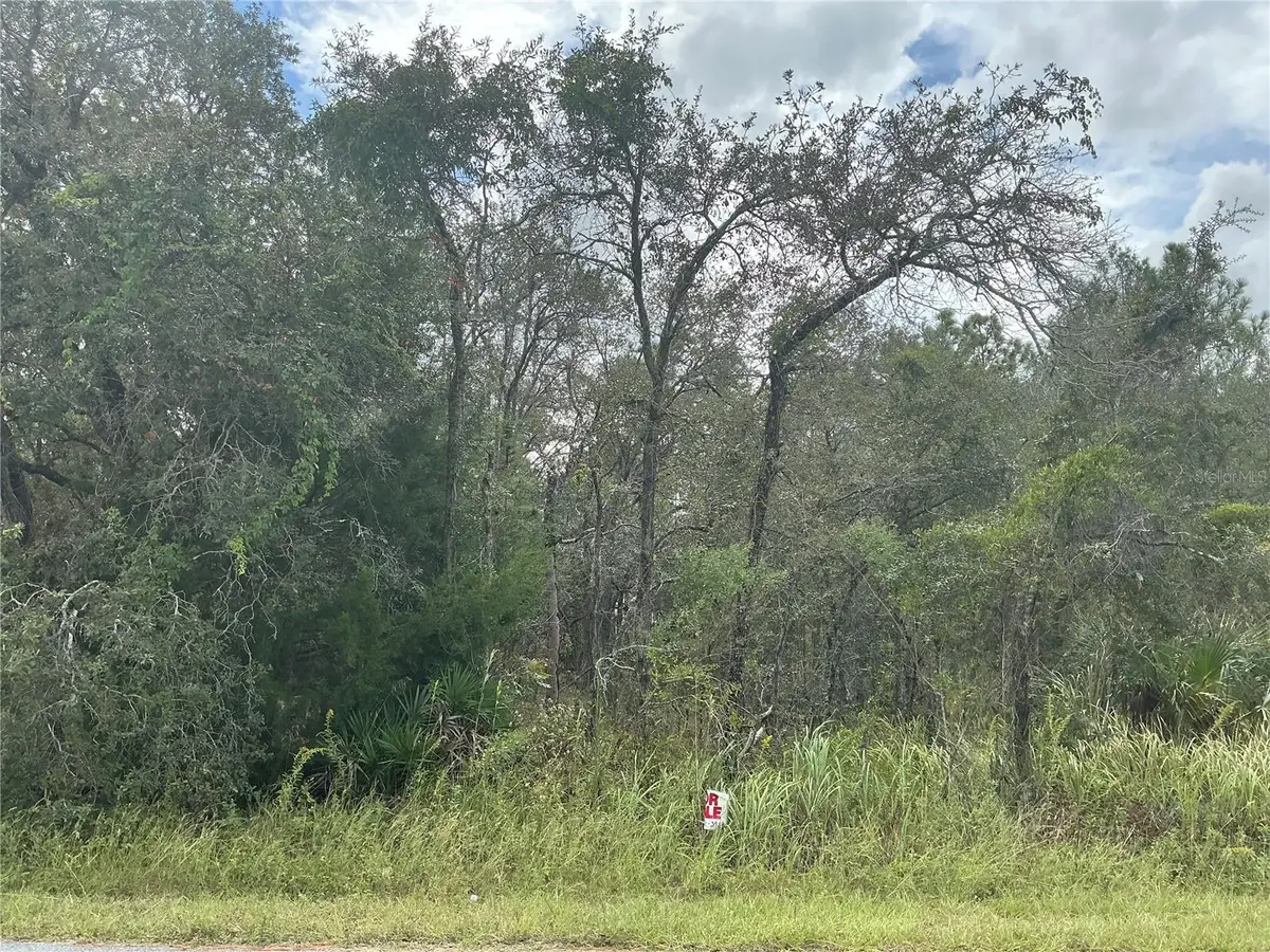 11434 Poorwill Avenue, Brooksville, FL 34614 - Image #1